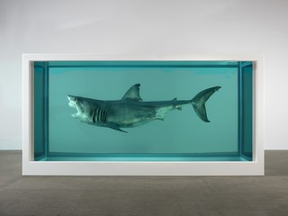 Damien Hirst Relics ALRIWAQ, Doha, Qatar