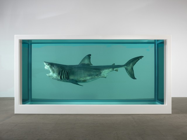 Damien Hirst, Relics | Projects | Caruso St John Architects