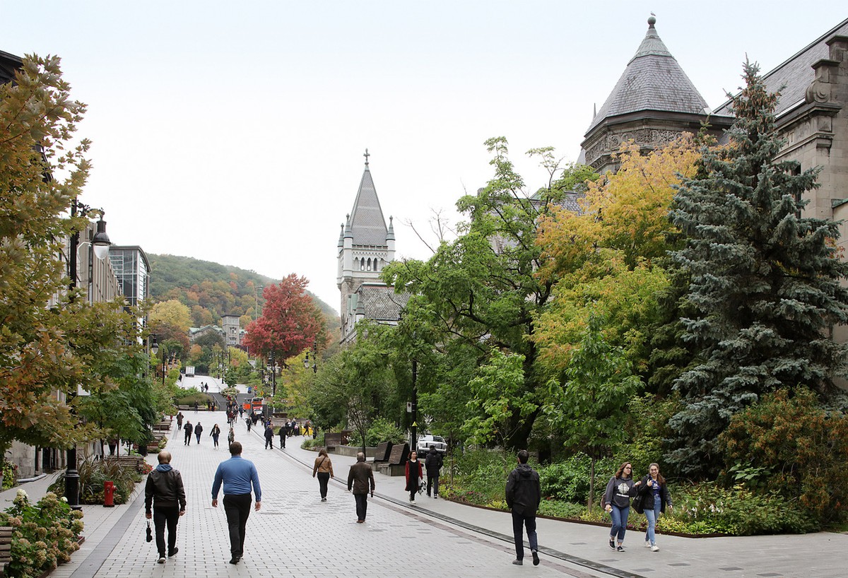 Mount Royal: Adam Caruso | News | Caruso St John Architects