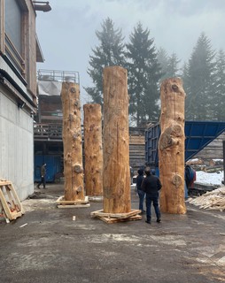 Selecting trees for the apartments in Eggen Lucerne, Switzerland